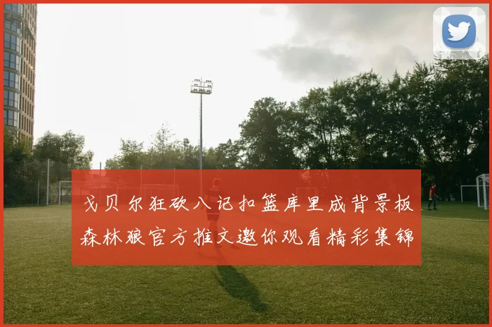 戈贝尔狂砍八记扣篮库里成背景板森林狼官方推文邀你观看精彩集锦