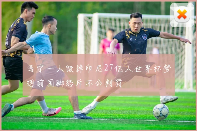 马宁一人毁掉印尼27亿人世界杯梦想前国脚怒斥不公判罚